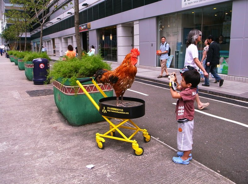 Meer Succes op de Chicken Road: Gokken Online in Nederland - overview